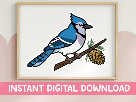 Blue Jay Bird Graphics T-Shirt Designs Review