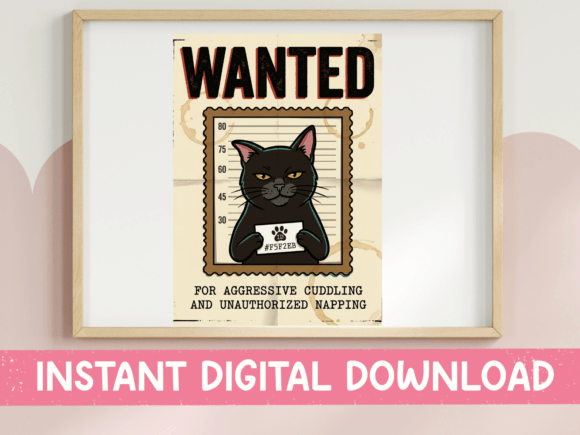 Wanted Cat Aggressive Cuddling – A Designer’s Take